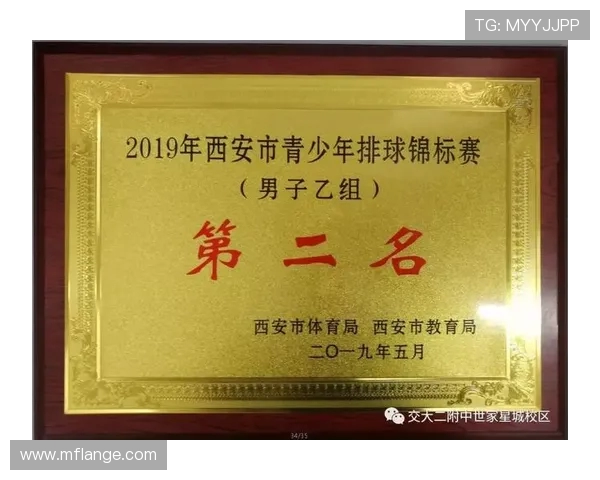 武汉排球队在全国排球团队协作排行榜中荣获第十名的佳绩分析